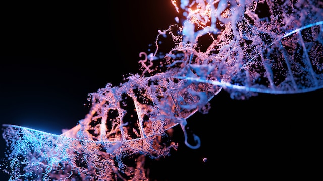 Bioinformatics picture