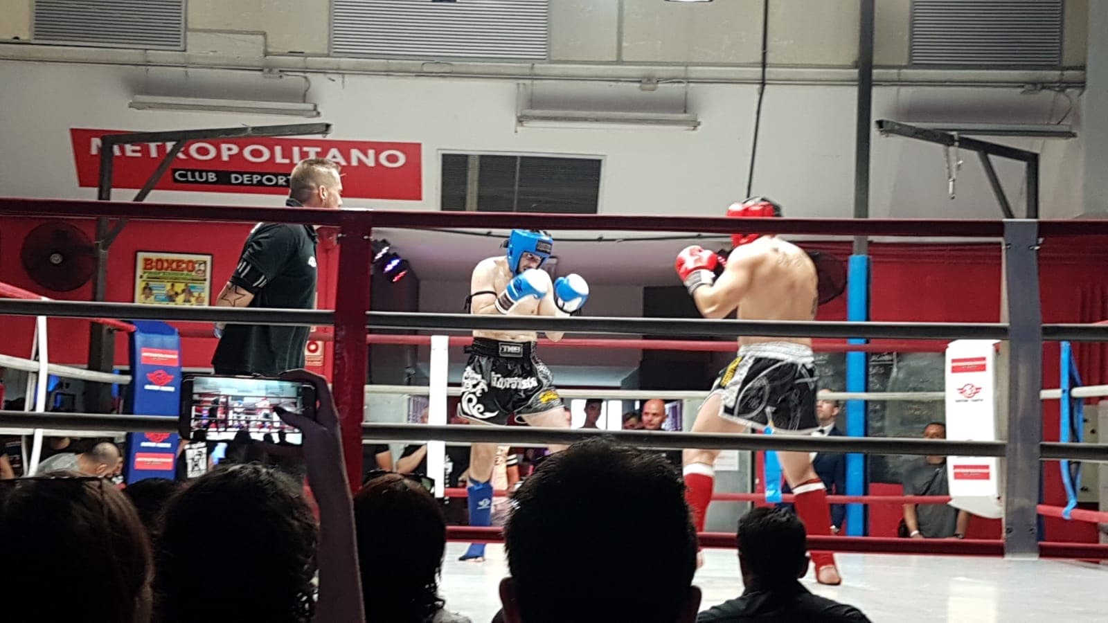 Vini first fight picture